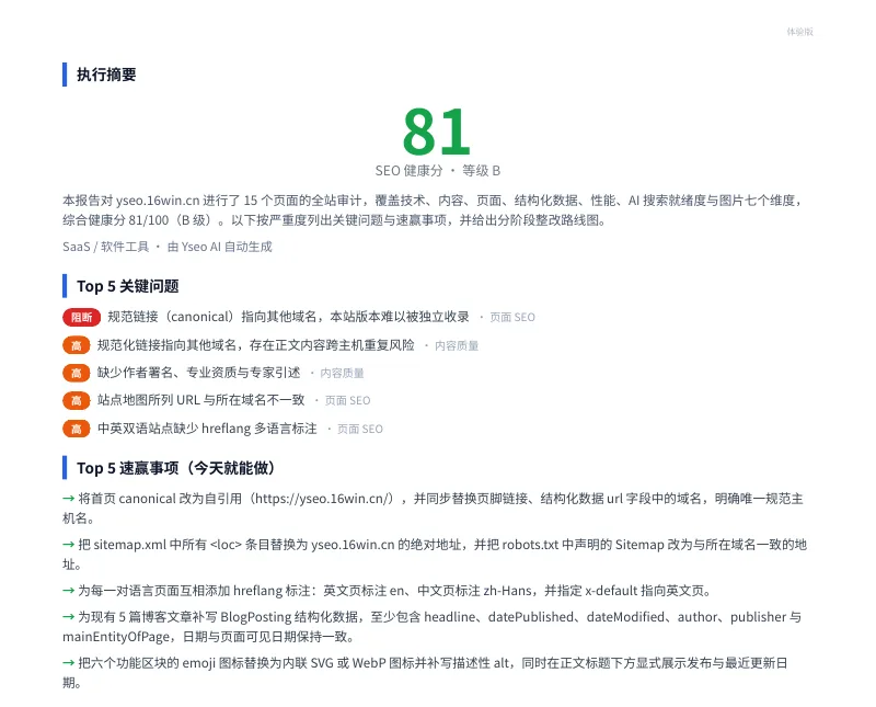 Yseo 生成的真实 SEO 诊断报告第一页，含总体健康分